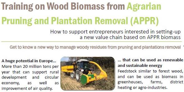 Εκπαιδευτικό Σεμινάριο για την ξυλώδη βιομάζα από Αγροτικά Κλαδέματα και Εκριζώσεις από το ΙΝΑΣΟ-ΠΑΣΕΓΕΣ στις Βρυξέλλες